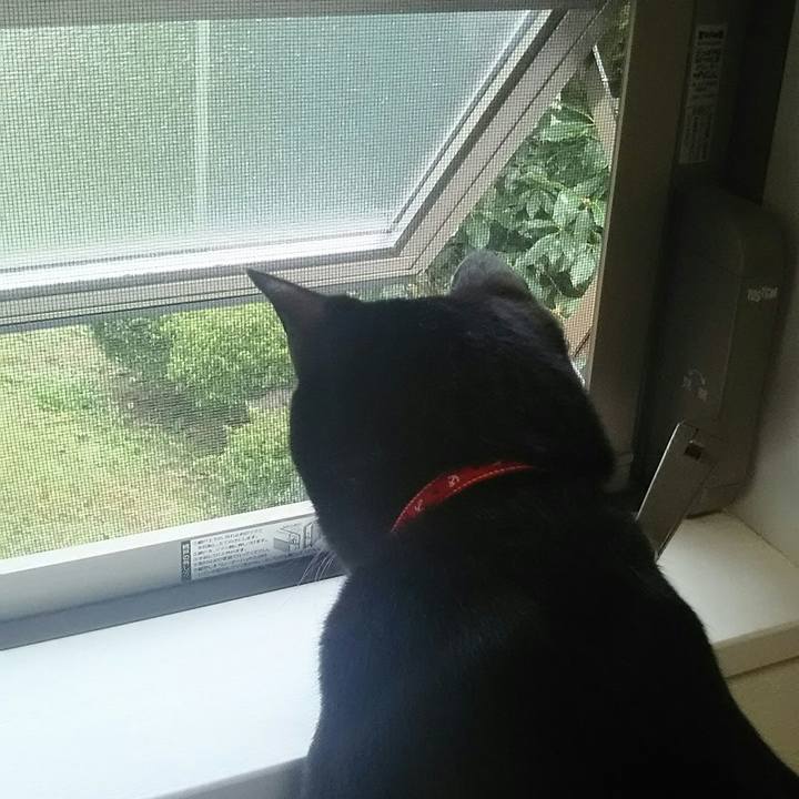 9be0ed5e 37a9 4b4b 8e56 8f0086f8139d 1517570740099