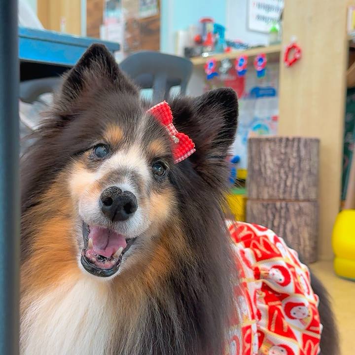 9be1049f 1b54 4a4b a829 0e83bed6109a 1756391863776