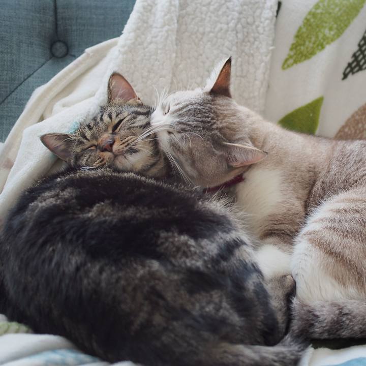 9be10ad1 1722 4062 b54d c7319c67d8c7 1580959889210