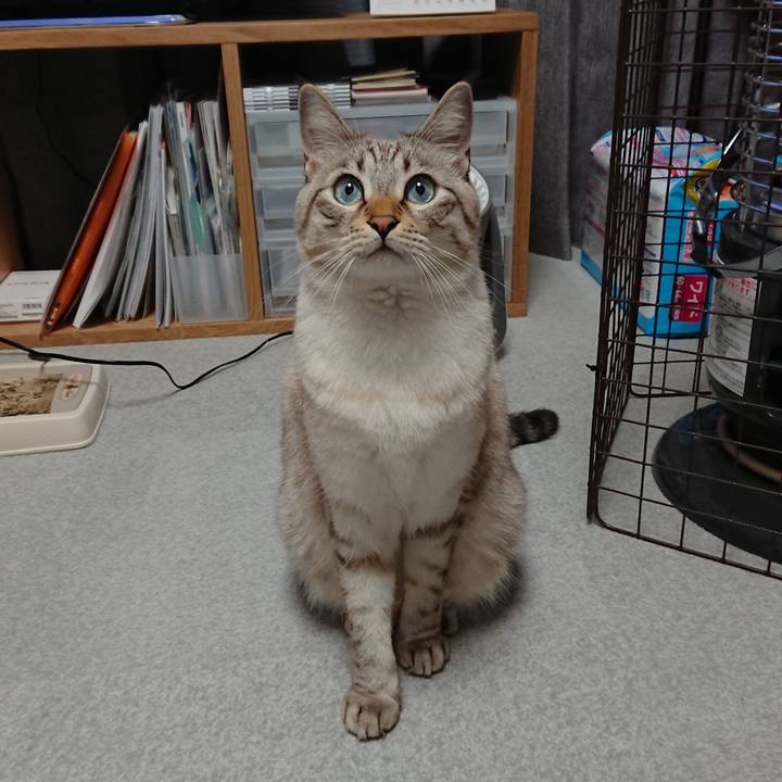 9be120ab 12be 4b77 9135 58e4f5c61c26 1513163059979