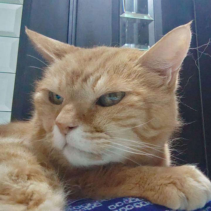 9be131f8 6029 4eb3 9a27 ca74c1a8786e 1756770867171