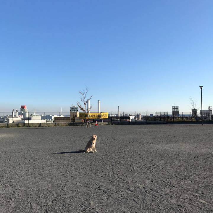 9be15630 1b30 43b4 8b9f 9f46df6cec3c 1573889067593