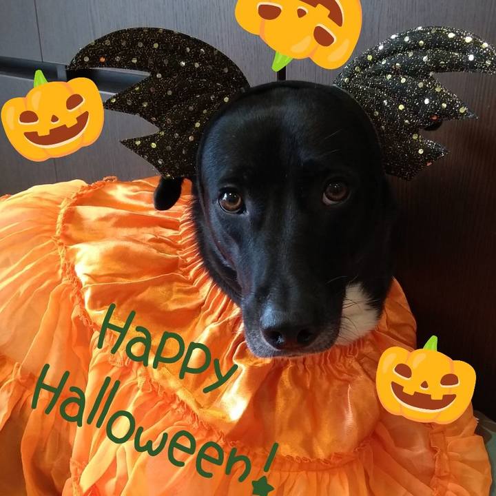 9be163f9 1515 4e5b 8838 ef42c4163ec9 1604106503449