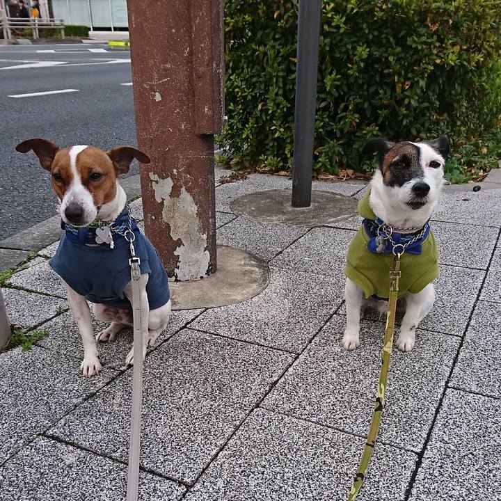 9be168bc 69d4 4503 9390 6e49272d2730 1579214491393