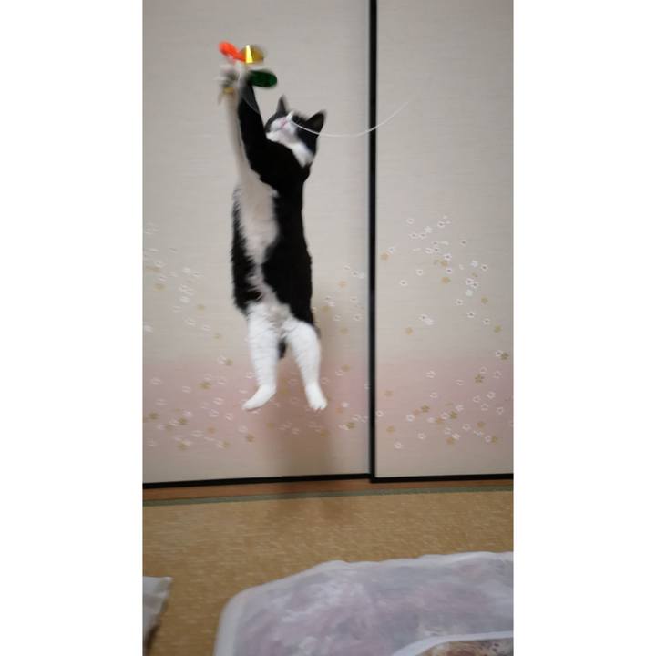 9be173a5 2103 41bf 9798 f00319b60ac0 1586959355236