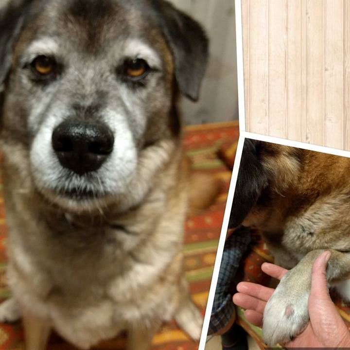 9be1d3af f322 4778 bb1b 8062d5934155 1524577500556