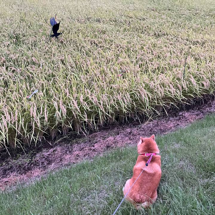 9be1e358 7b8d 4d65 a5ae 6fc83f0a7ebf 1664091677535