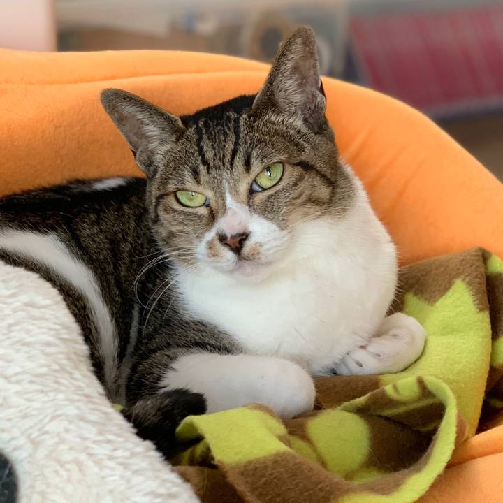 9be1f01f ecba 4d89 9b74 443d59dba9fb 1578015905962