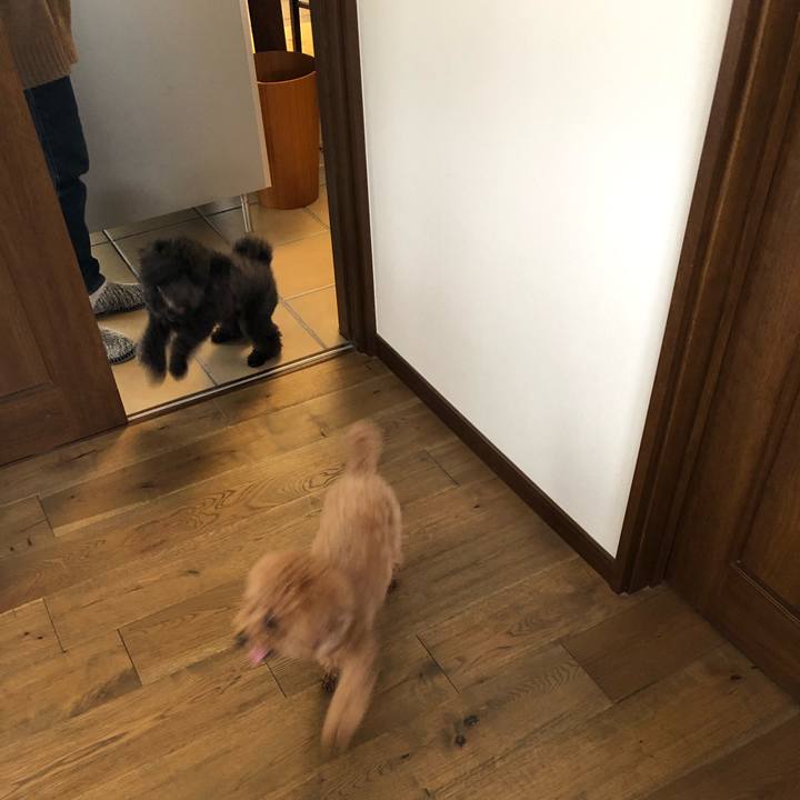 9be226a5 93c9 4c89 b803 fd85a92b3ff6 1583760042252