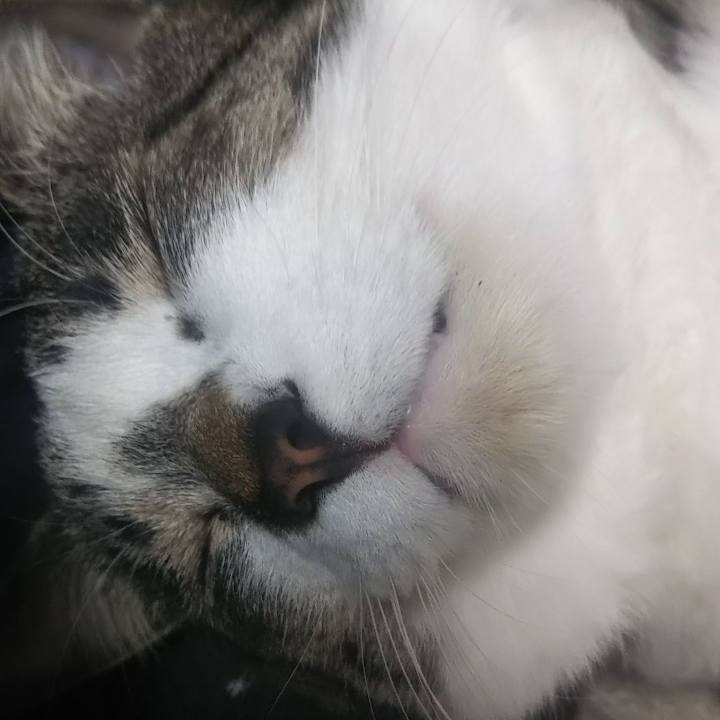 9be232a8 24e3 425f ac53 d9e57e69cbe9 1614004268292