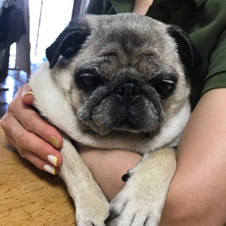 9be24810 75fb 4cd1 b4d3 8431340f1a3d 1533951190134