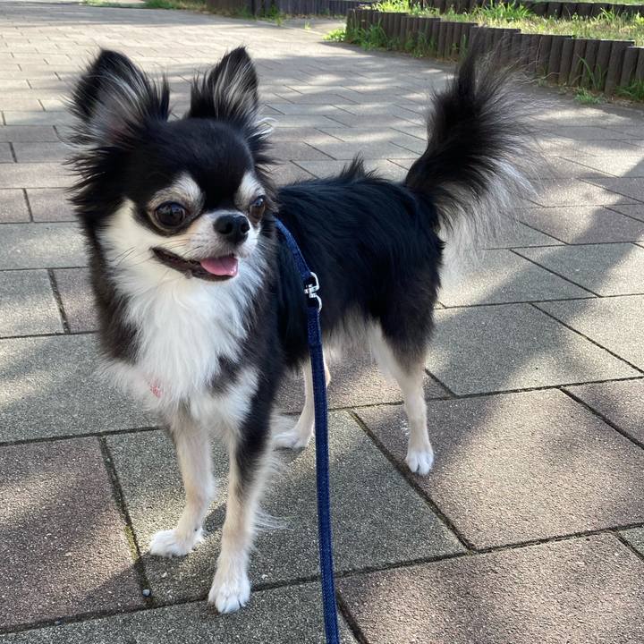 9be27989 62dc 47e3 bfd3 dcaeed1f084f 1657376858005