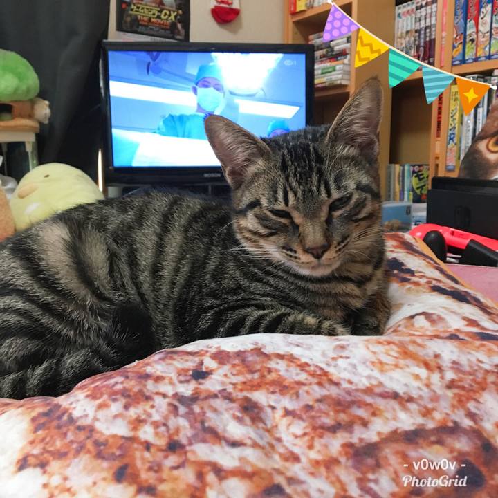 9be27af3 a72d 4637 a024 9680286c32f3 1544238932805