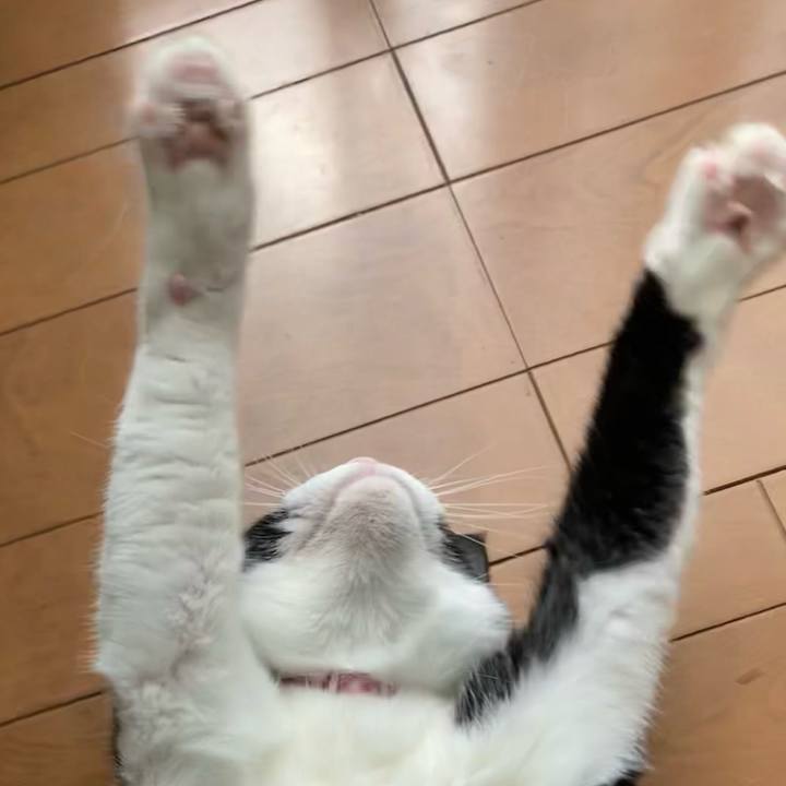 9be281c6 7f70 41d6 83c4 c8834dec81aa 1659931454309