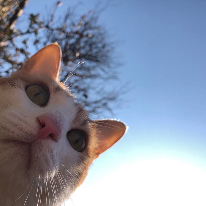 9be29f7f bb0c 422a a330 84f220dbaed1 1554419476738