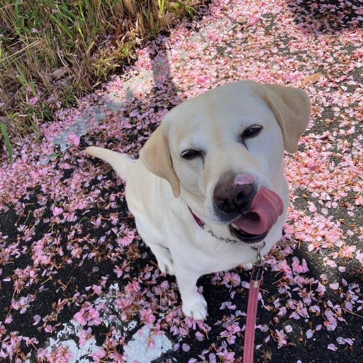 9be2c525 b754 4e0b b160 46249afaaa87 1714198926581