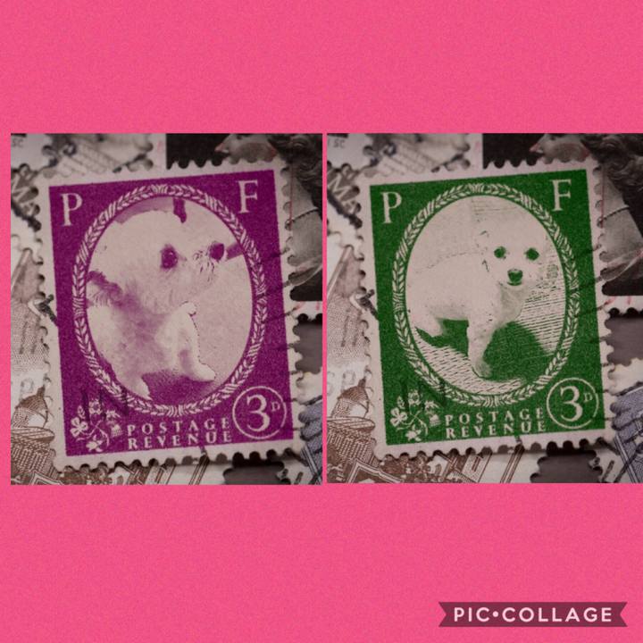 9be2f406 d20f 4dcd 967a a306ab39a54e 1569852599255