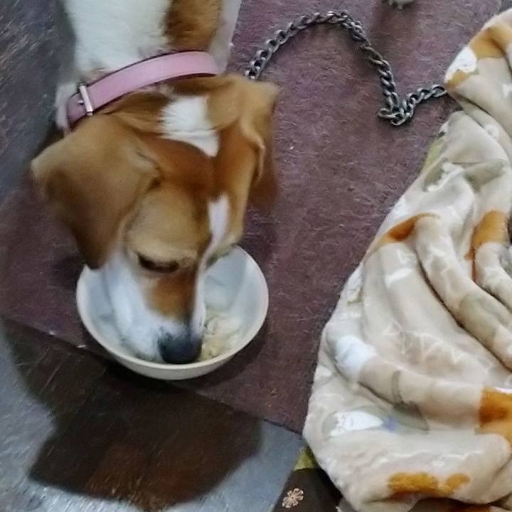 9be33351 1949 49bb 8c39 1a0849abddd7 1581682668222