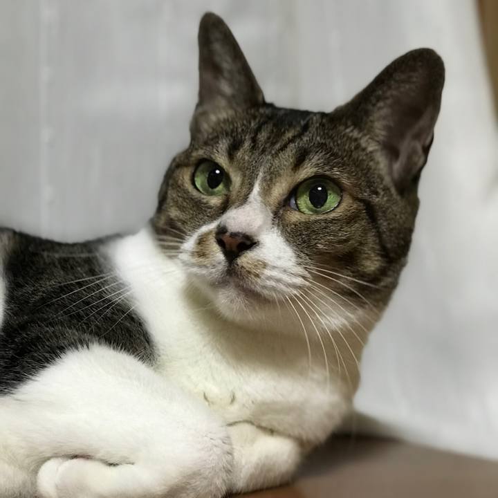 9be3607e ee8f 4d02 9891 b023685a9815 1536885735957