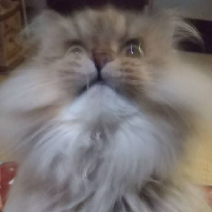 9be361d0 dc81 4842 92ec bd7c851a5604 1609330682624