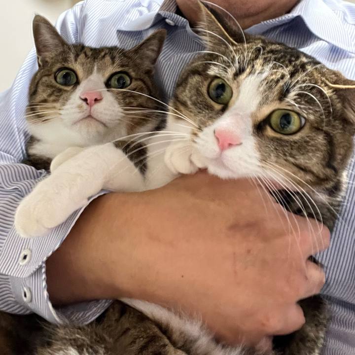 9be3e42d 19e2 4262 9852 57fbd0d92019 1740749706966