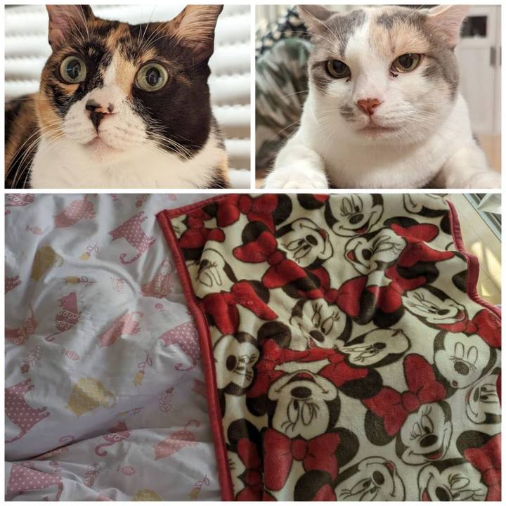 9be434b1 b9c1 4f9f 9d93 4e769dcb7cf5 1697687386574