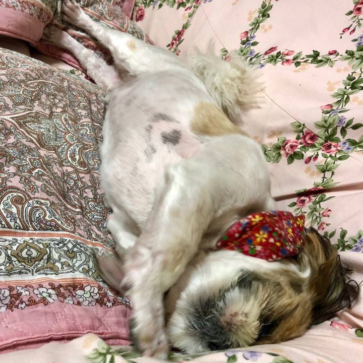 9be44c53 a892 497c acdd 2bda76199377 1533375600291