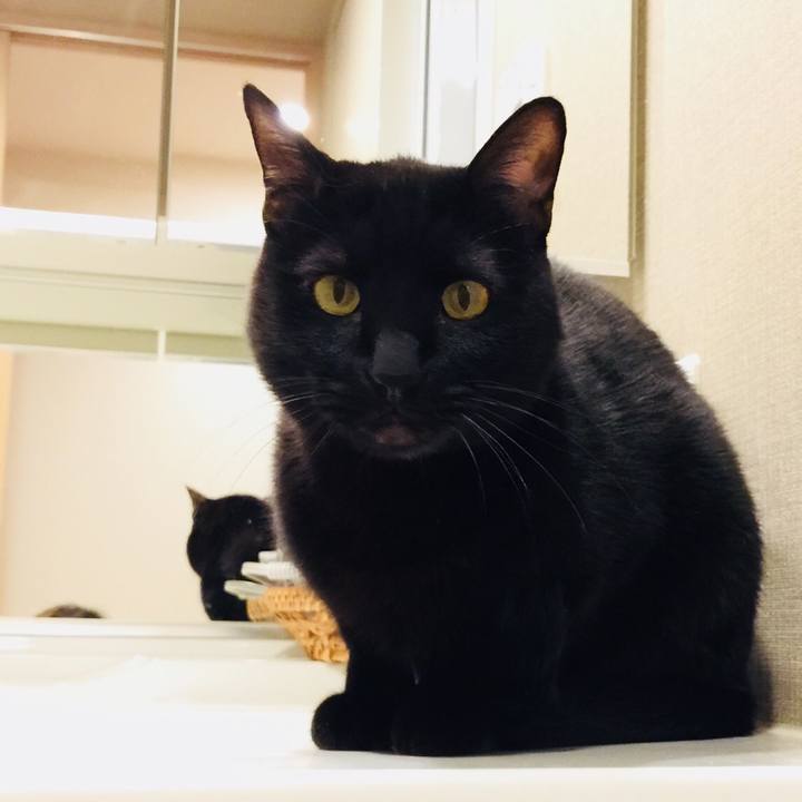 9be48d35 fac0 4658 9472 5a7299a9db64 1511427393521