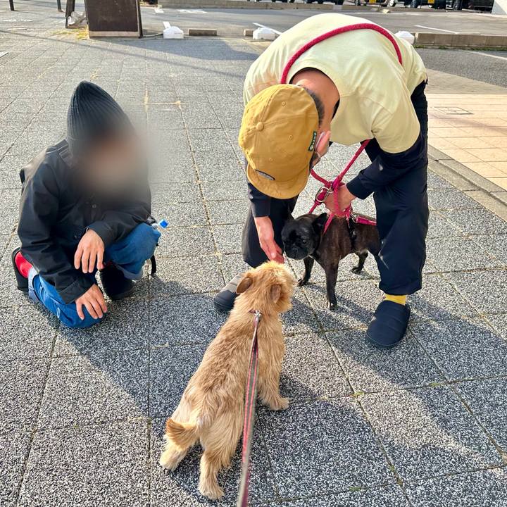 9be4da0a f529 455e 878a 563f640b65cb 1740840074447