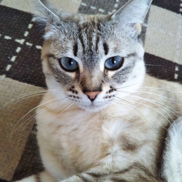 9be53944 e22e 4413 82a0 40de5b330ee1 1554426243802