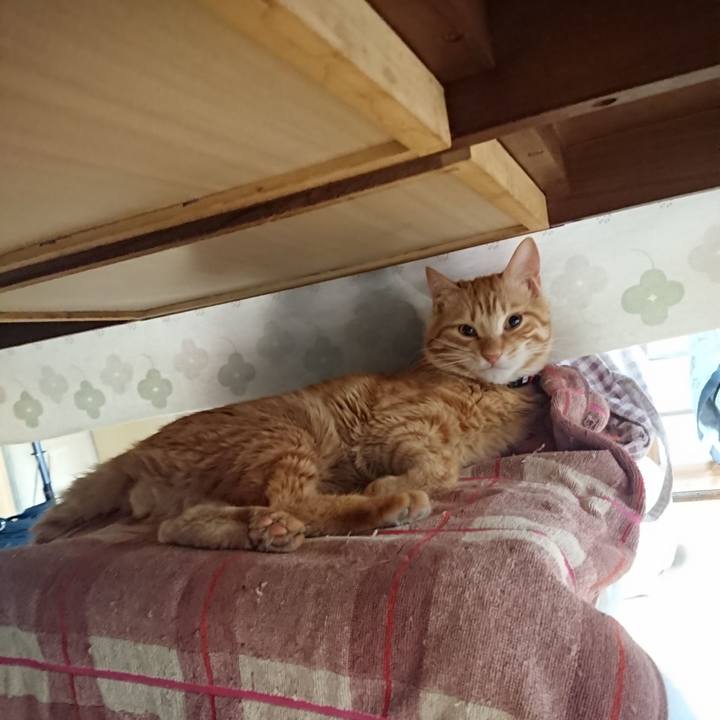 9be54bce 3c99 4ba5 9ee0 6713db4888ea 1644366864194