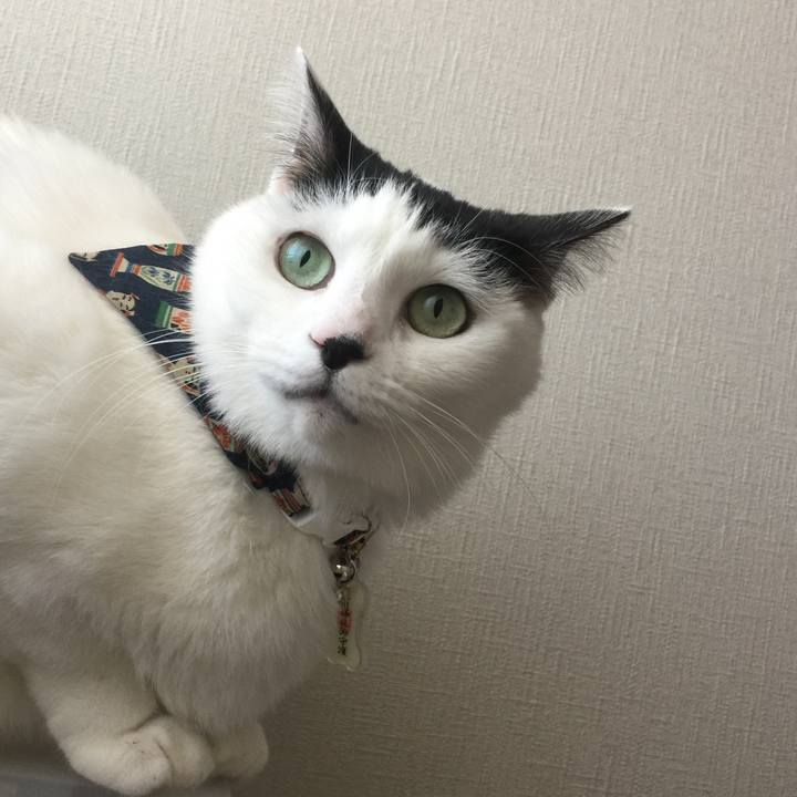 9be55f5b 1694 4c3c a81b 5692cff52092 1511568721565