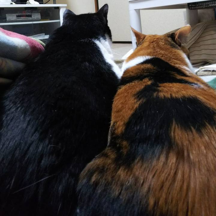 9be57a71 300e 4bbf 8938 edb35b7b3b4e 1540473687536