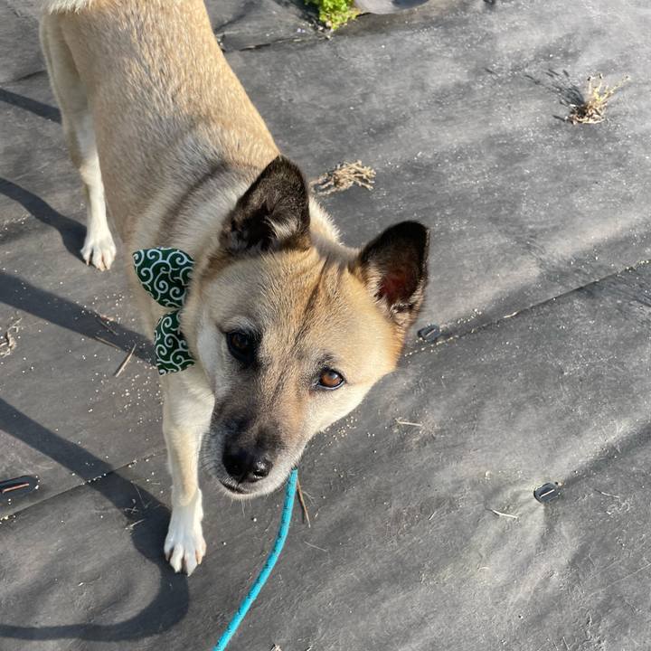 9be5aa72 589f 4966 a217 1719e1bfbd29 1683725800680