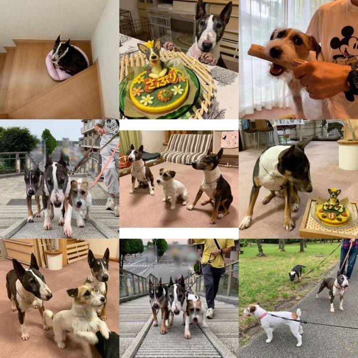 9be5b806 59ec 4817 8594 e073b8ab75d0 1609406195631