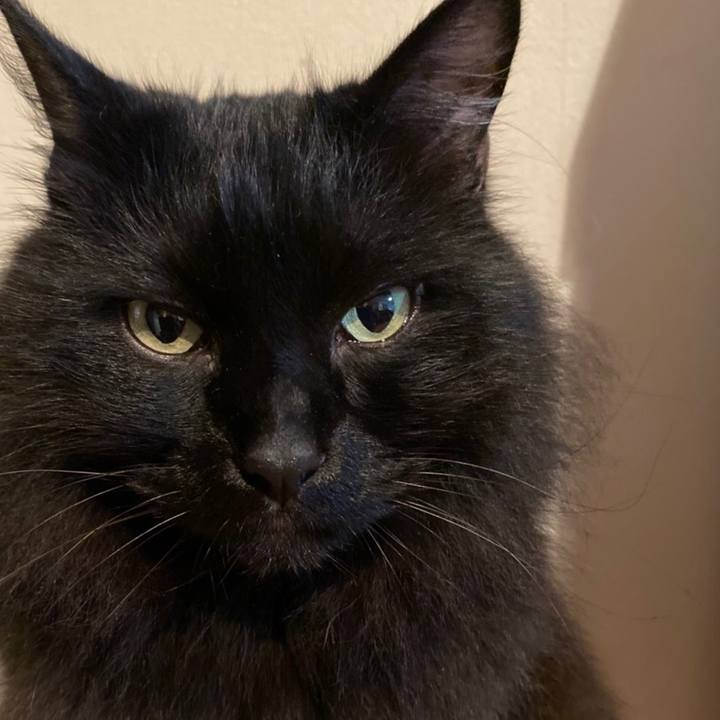 9be60cfc ef7e 4320 b83f 939a4569f1d9 1575053453272