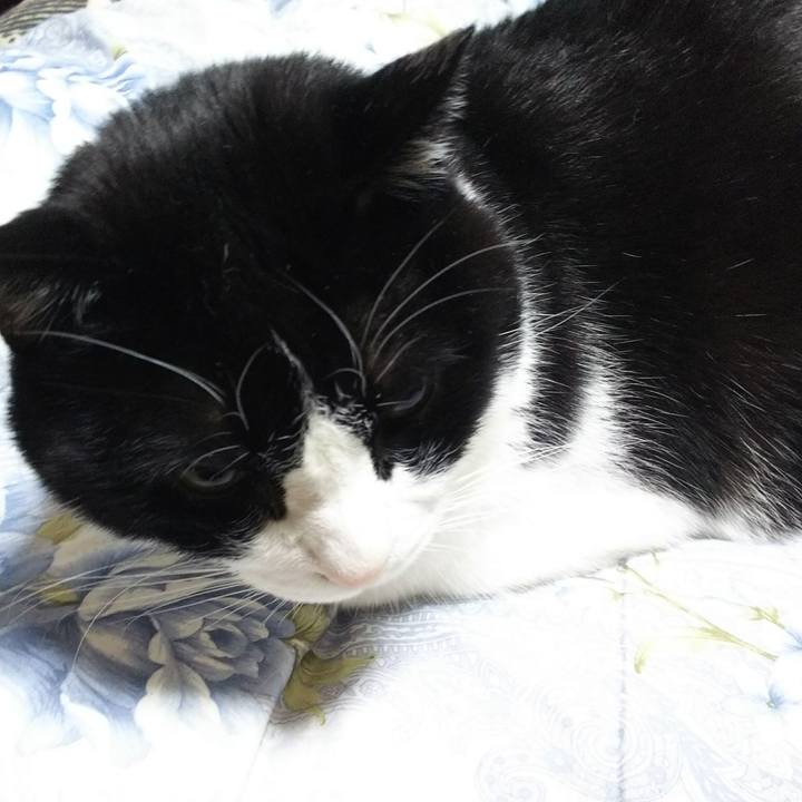 9be644a6 0ff8 4046 9455 ee97a6c0196a 1545256255984