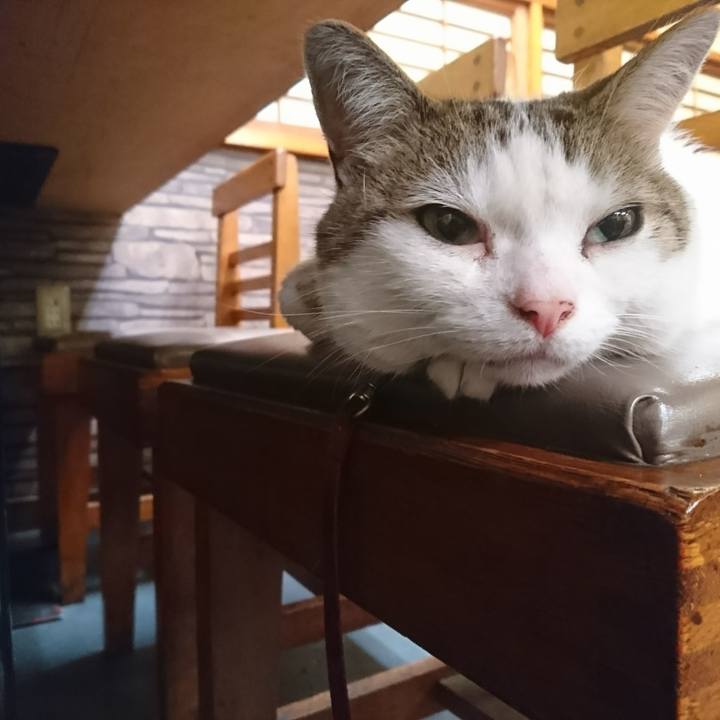 9be660cb 2384 4fde ade4 636302c69d66 1529846307246