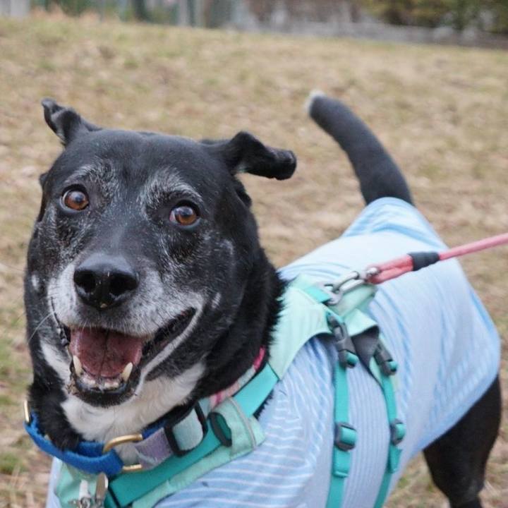 9be67104 a04f 471c b1c3 ca63252b0f7a 1771373282565