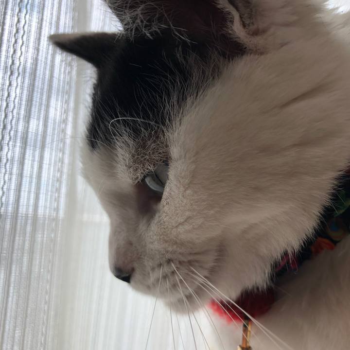 9be68ca6 592b 43a8 a7ce 5e0646f8b471 1526706720720