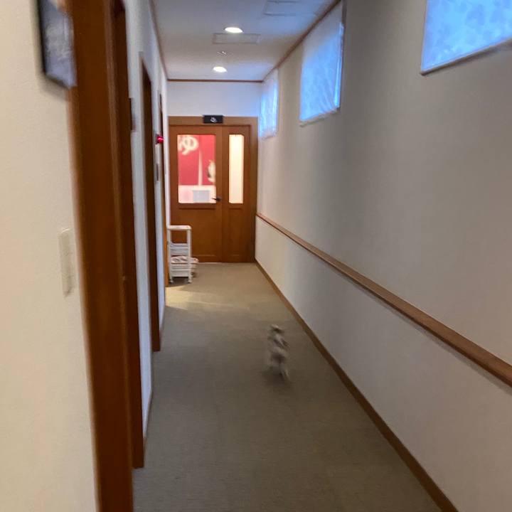 9be6a956 65f7 4e8f bf30 0e2bfc6362bc 1574463303963