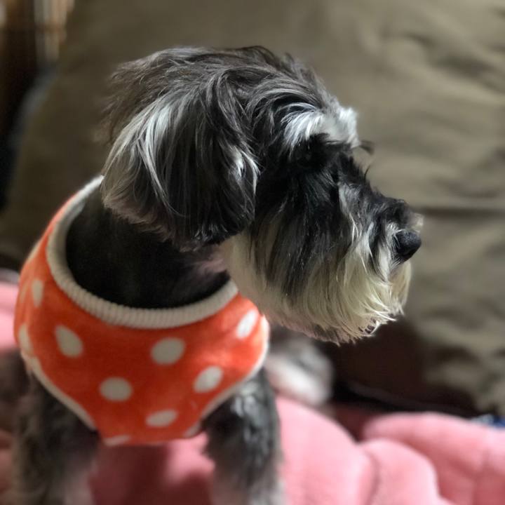 9be6bc32 3512 4697 8aca d119994c7815 1523882824533