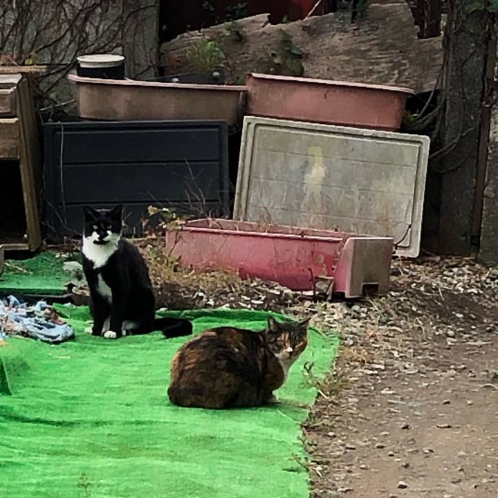 9be6d4c1 6106 4dec ae95 34aba99cbd90 1606144128486