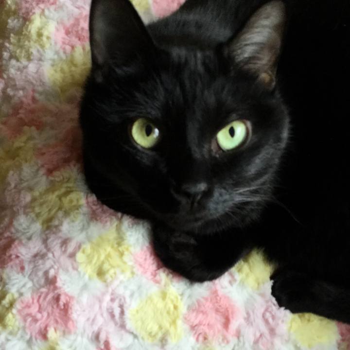 9be6e2eb 2eaa 4363 8314 95882e8d2398 1540703622895