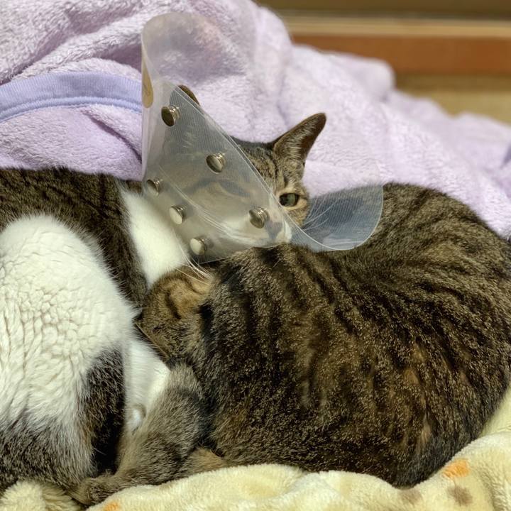 9be71c1d b043 4f7d 9421 7d164de84e0b 1554167519882