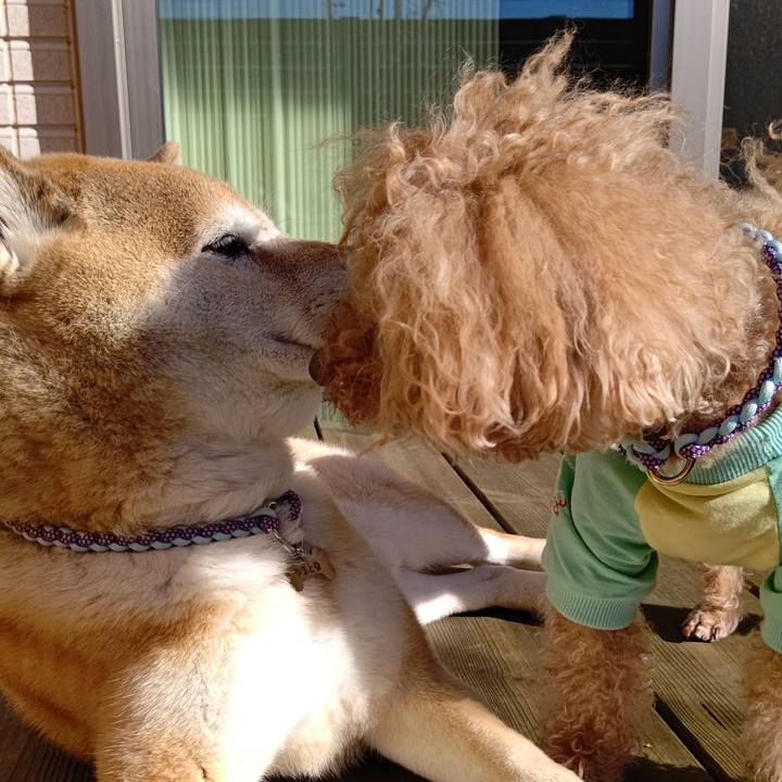 9be741dc dfb5 4cc1 8c58 3691c863bcdf 1613442454177