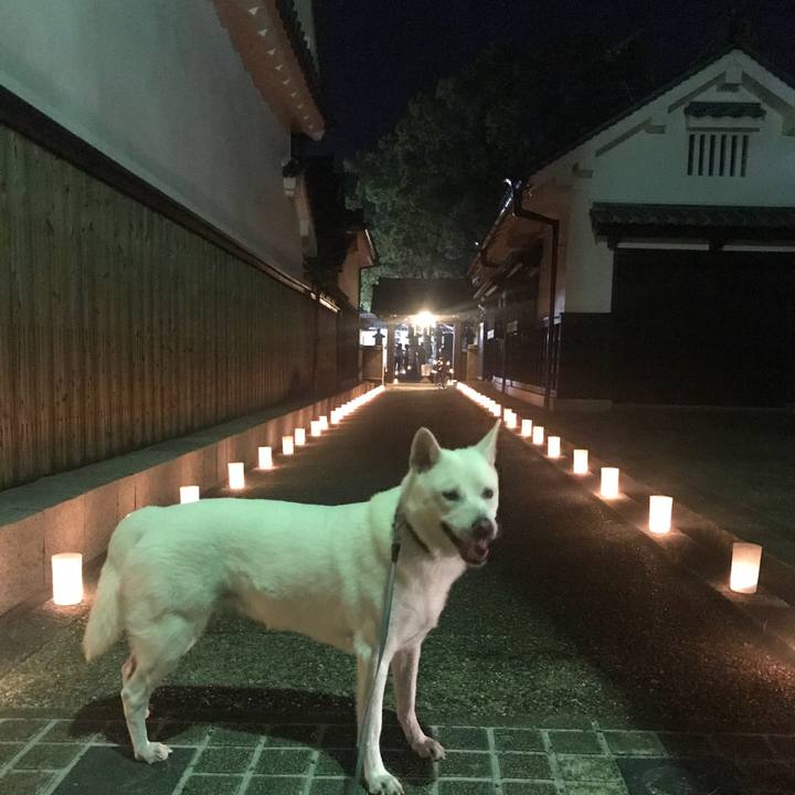 9be7424d 38cd 40a3 8b05 51a2b1c161d3 1533387961704