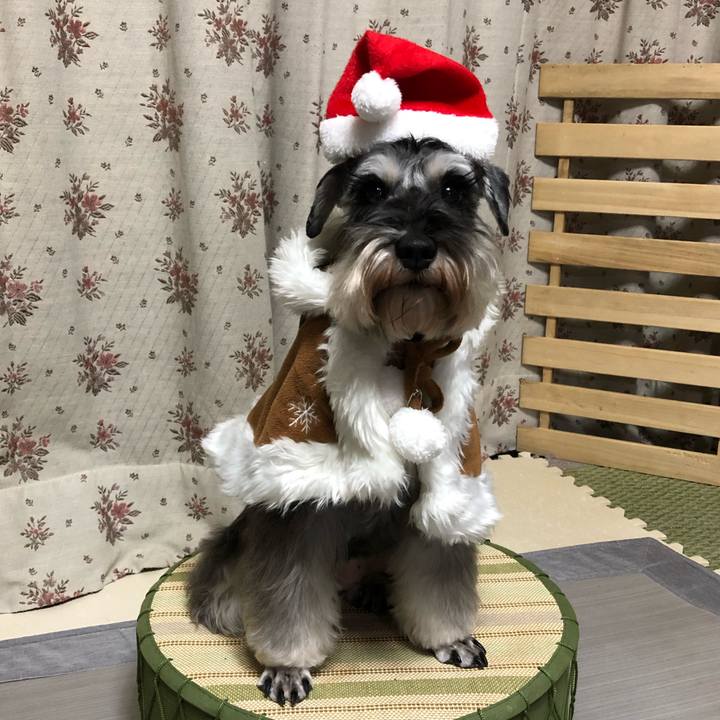 9be75c5e e683 4e7a a2fb fb70ffce21f8 1577098072148