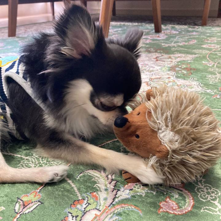 9be797d7 46e7 49d0 9a95 b3e694bc38c4 1654317407134