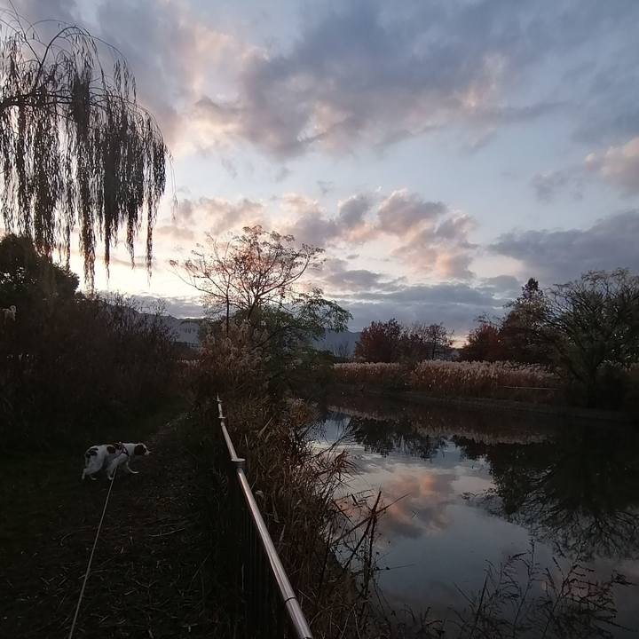 9be7bdbe 7539 4d0f bf68 538c09a71da9 1576282393879